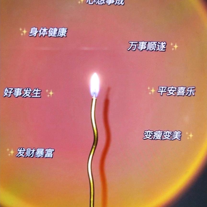 会飞的贼