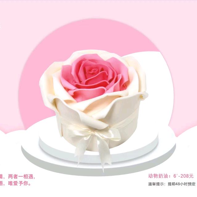 西苑开心