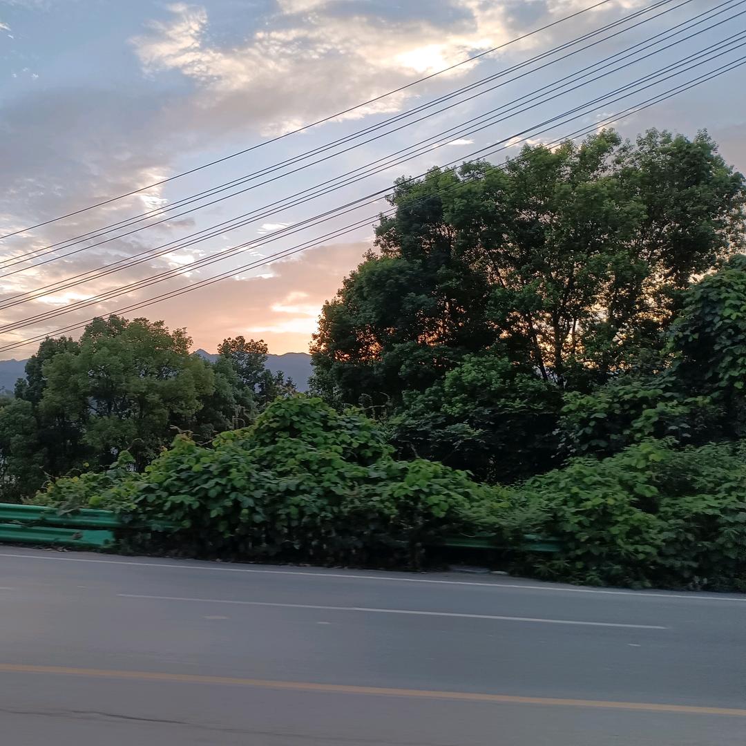 空格(๑><๑）1457968659