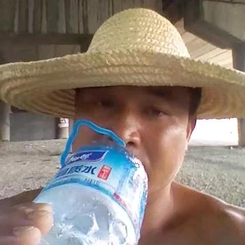 孤影自强（领）