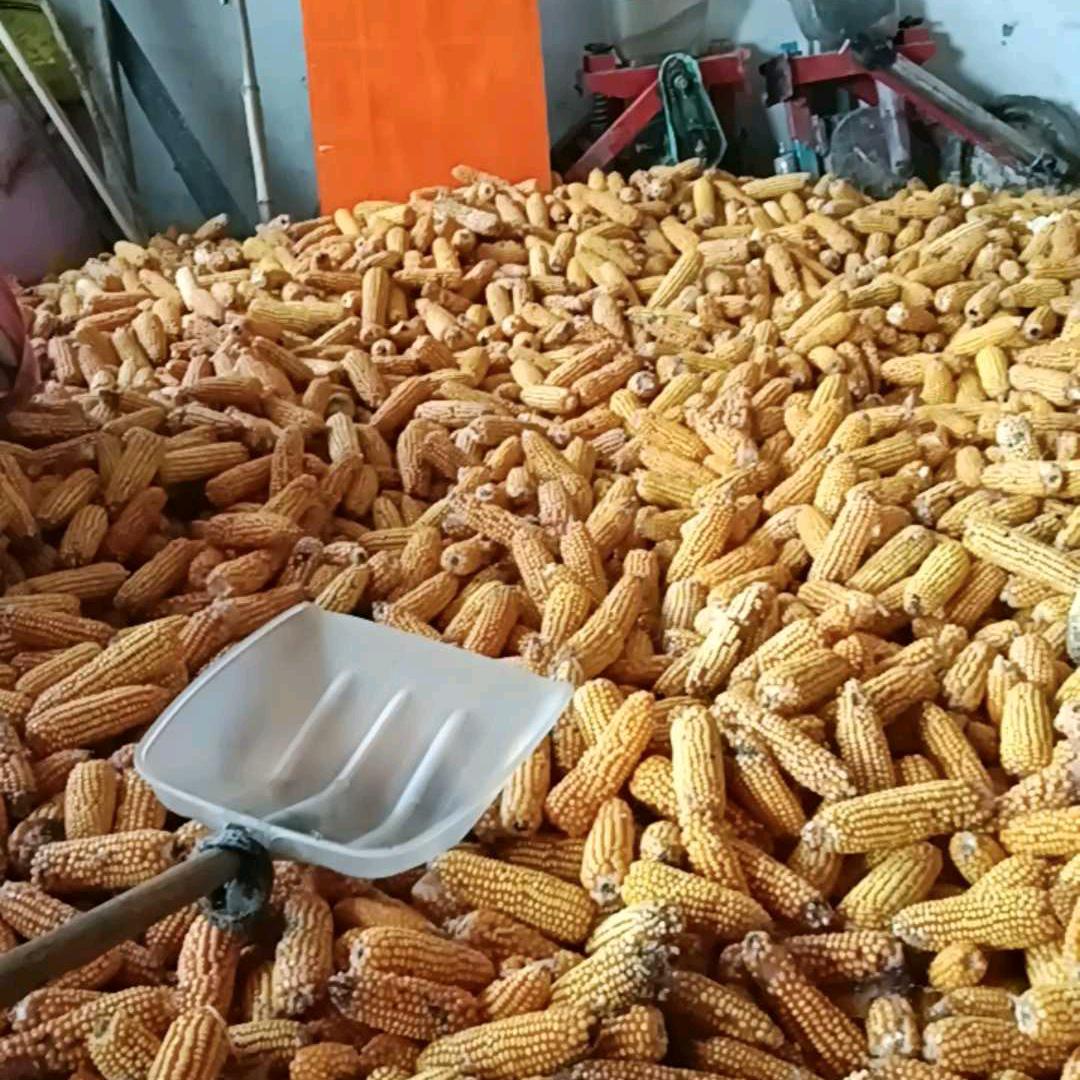 幼儿园老师祝怀凌