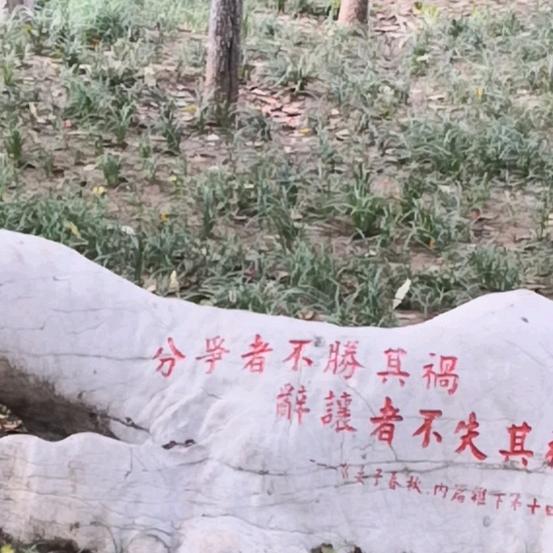 闻鸡起舞、金石为开!