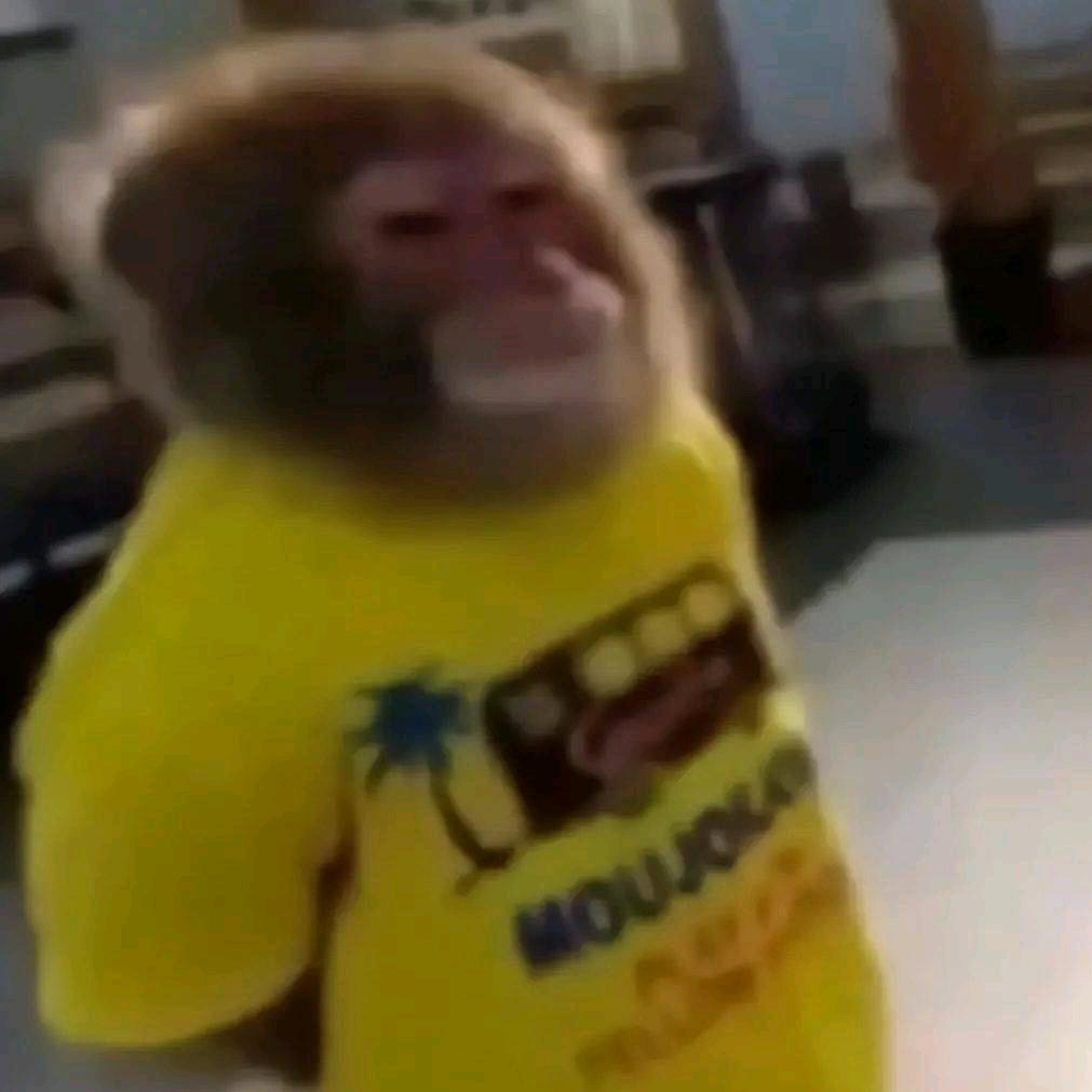 去马尔代夫卖烤串