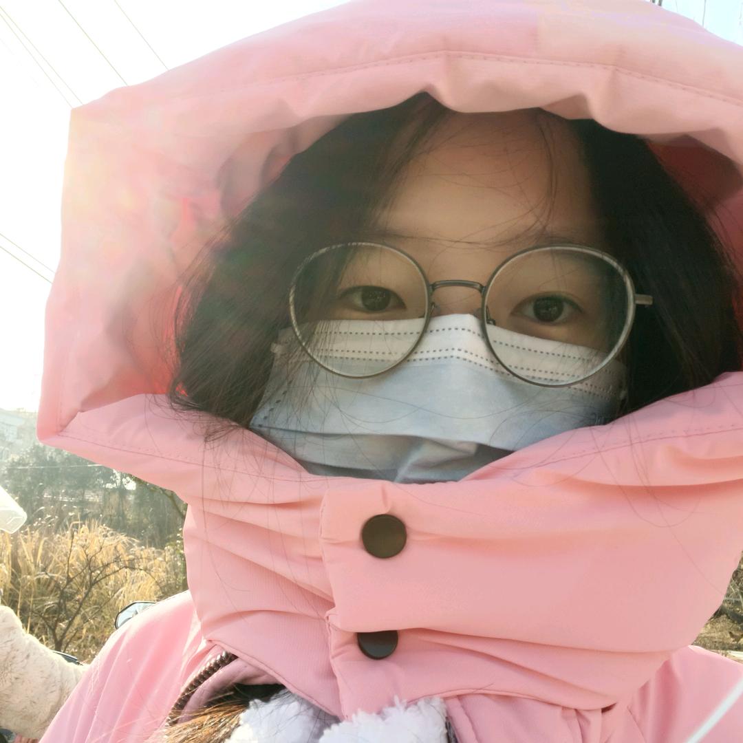 婉安鸭