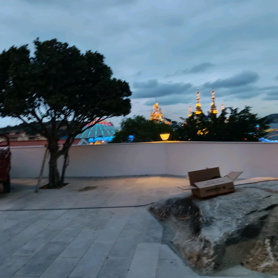 碰花碰草不碰情