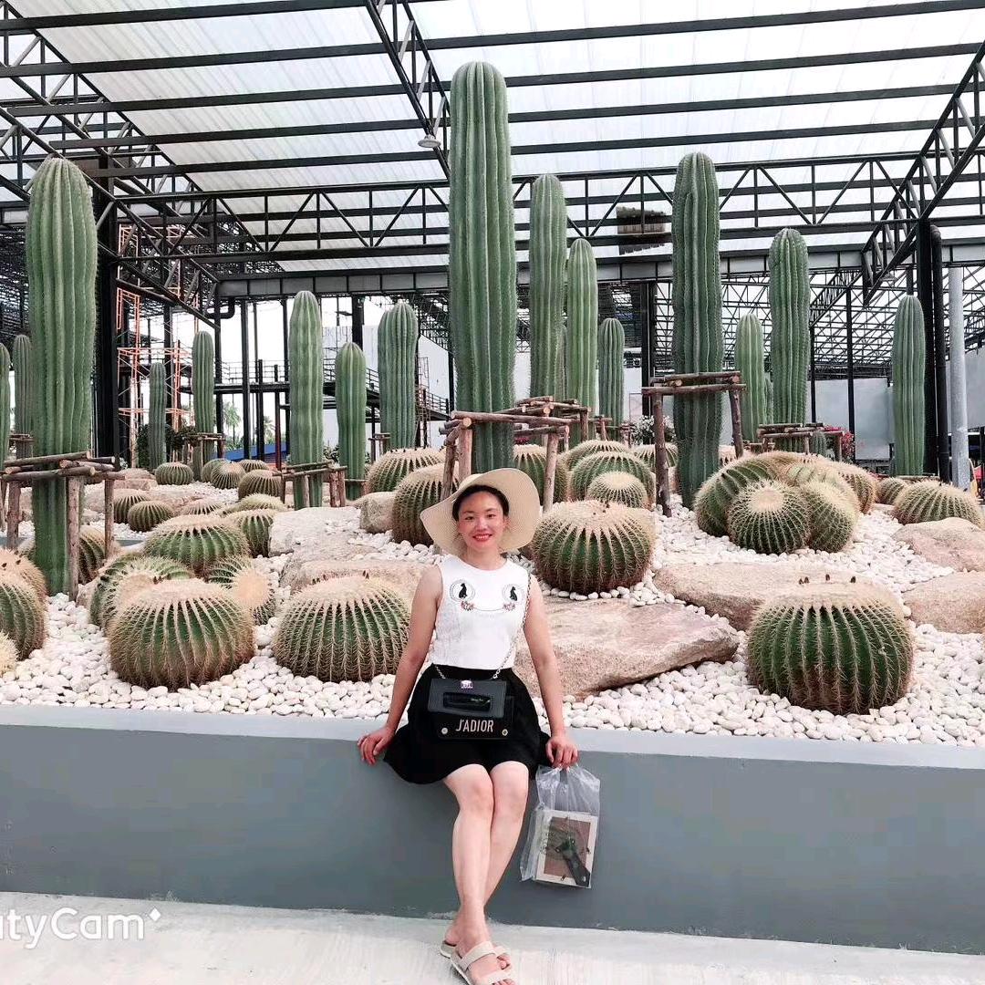 ရွှေလီbtဆိုင်ကယ်祖玉