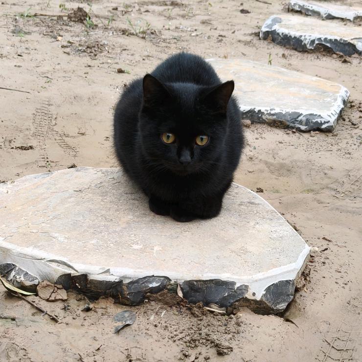 男生宿舍管理员屈元😄