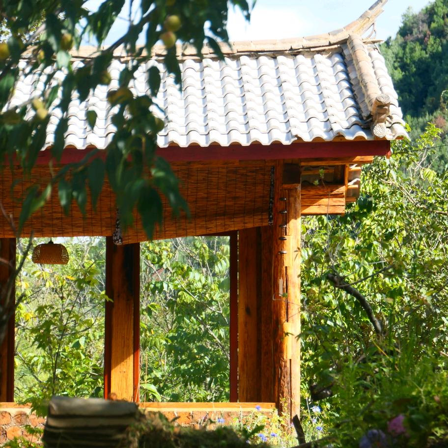 金竹•水草后农家小院