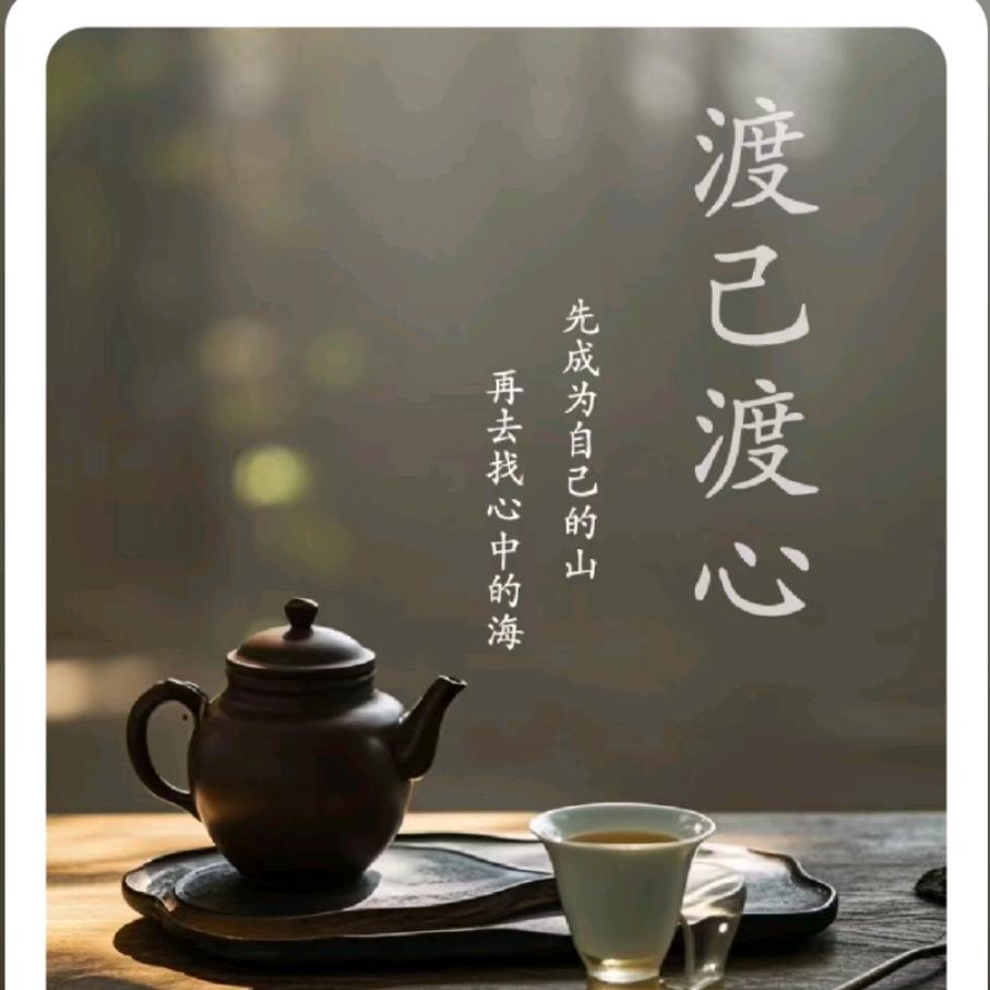 渡已渡心