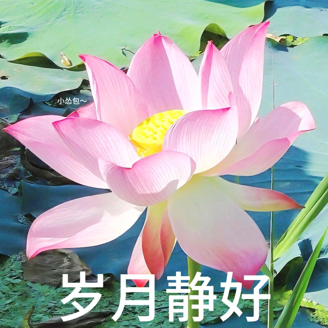 我的精神世界绝不能被蚀成废铁（许嵩见过版