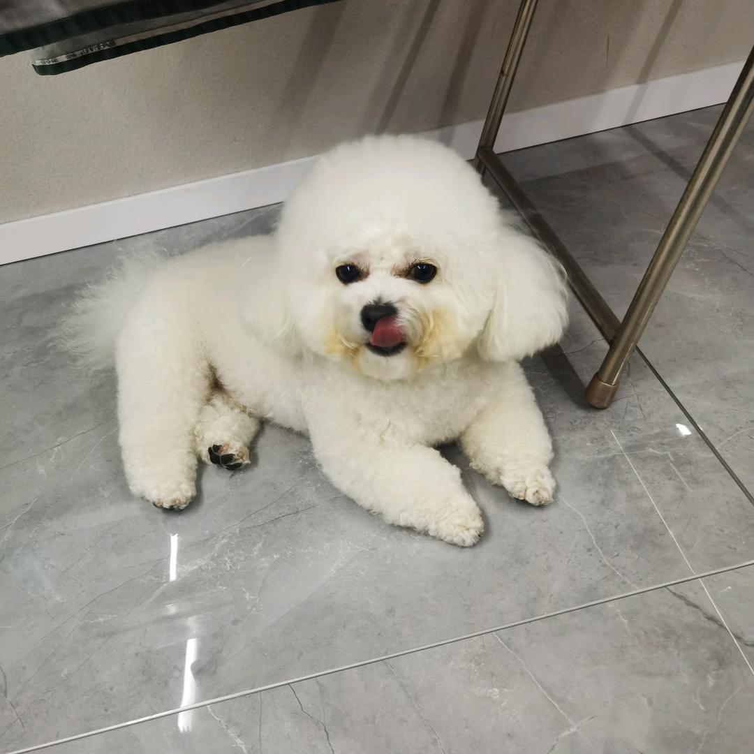 一杯咖啡