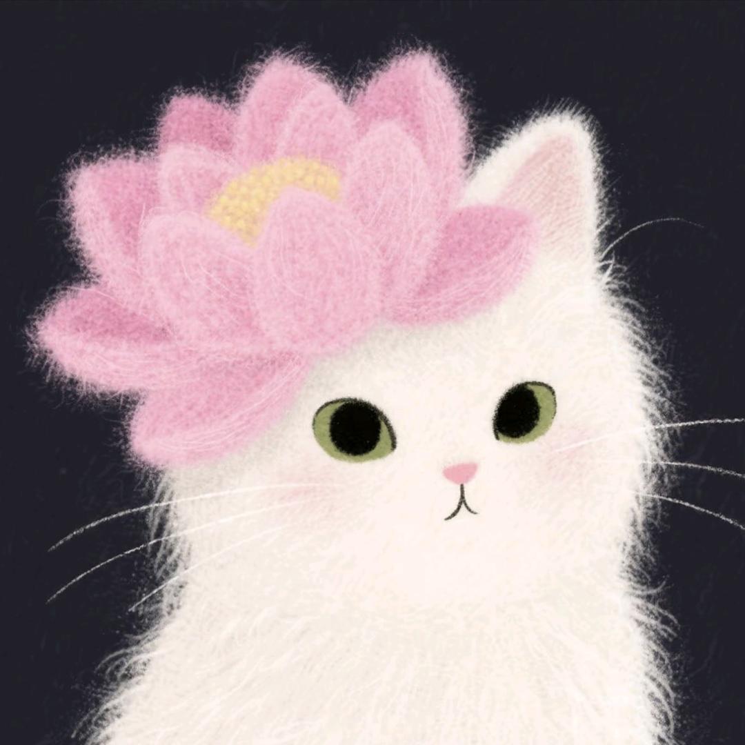 开封城墙景区-吸金小能手