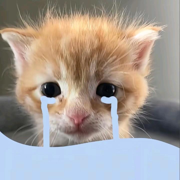 用户512976233607