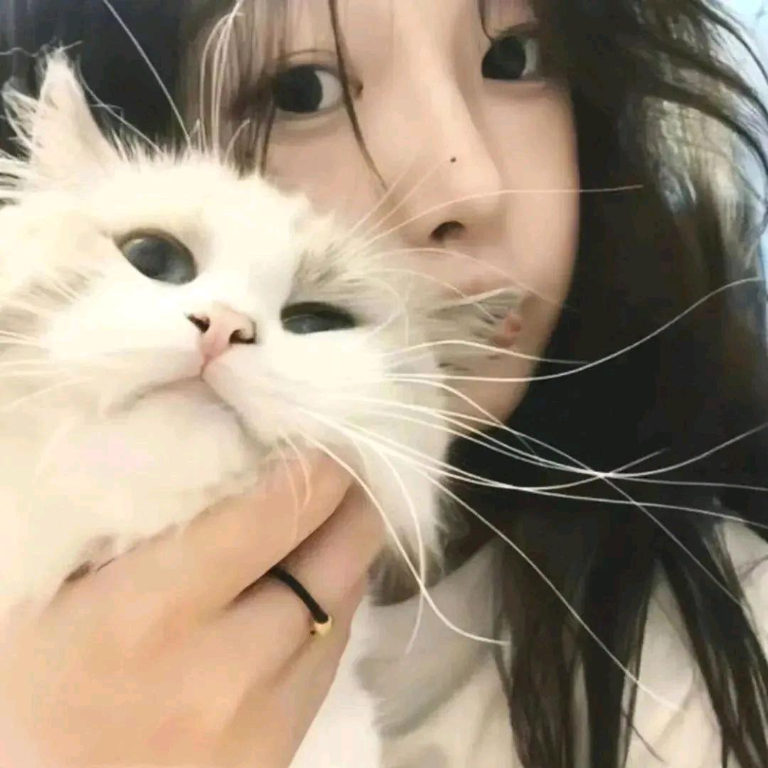 小阿同学🐟