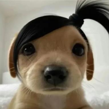 偷吃糖果🍬的小孩