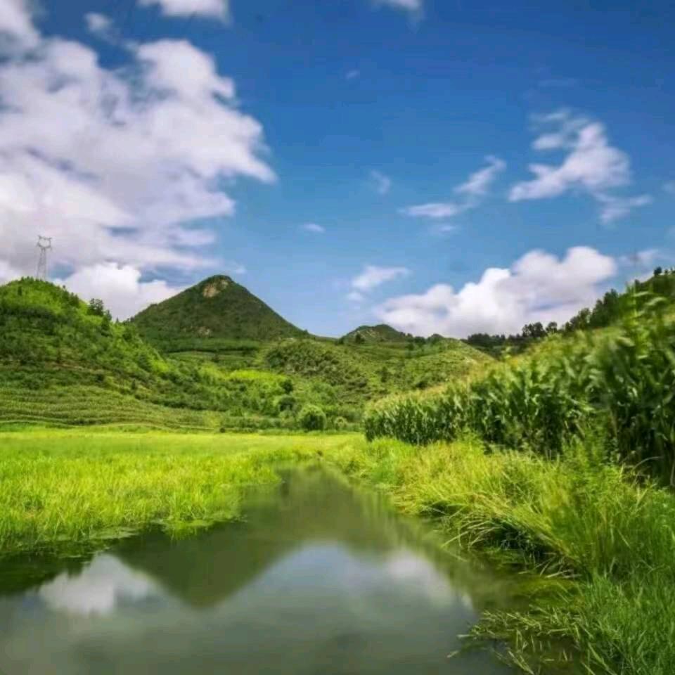清山绿水