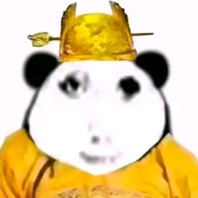白头岂是雪可替