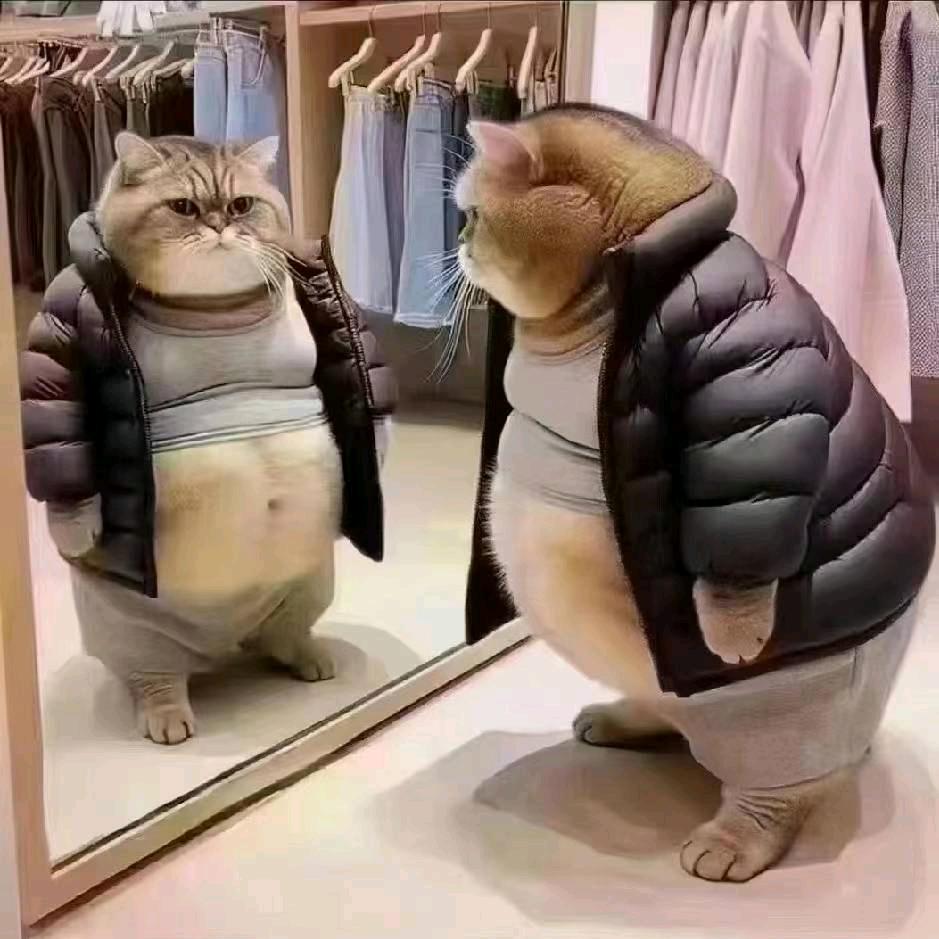 请叫我富贵