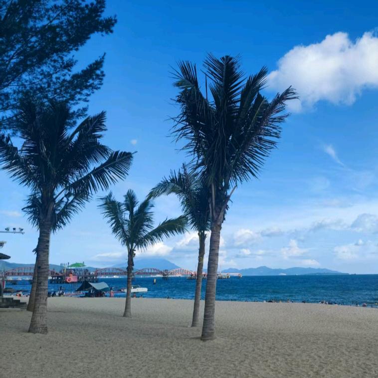 💝🍀陌唯紫💖🍀