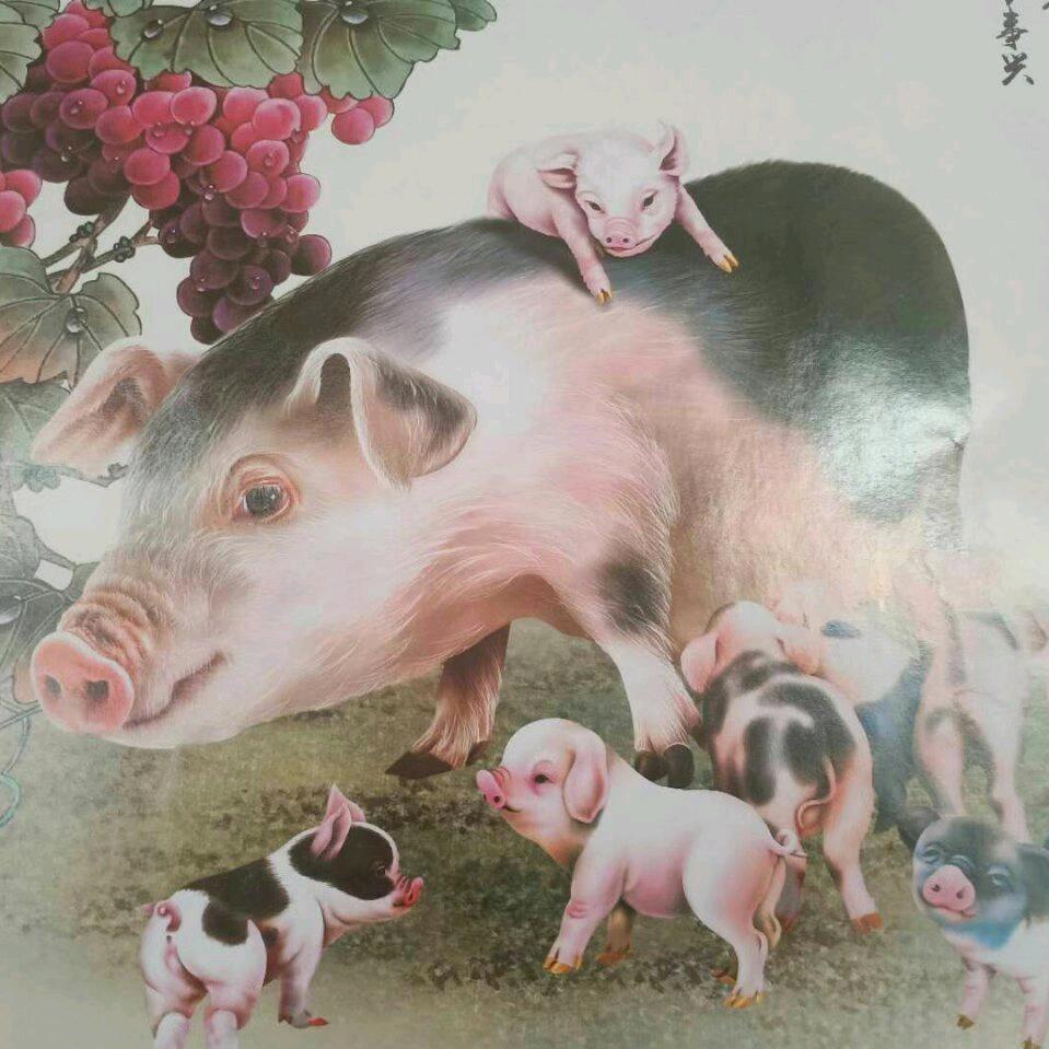 长兴