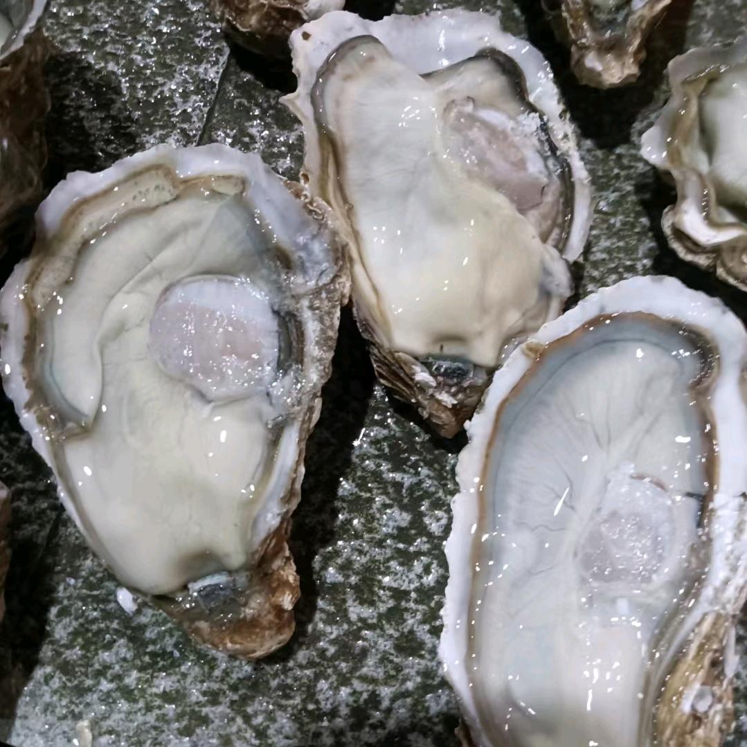 海鲜批发，代购，配送。