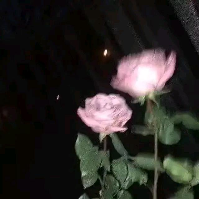 上帝啊.