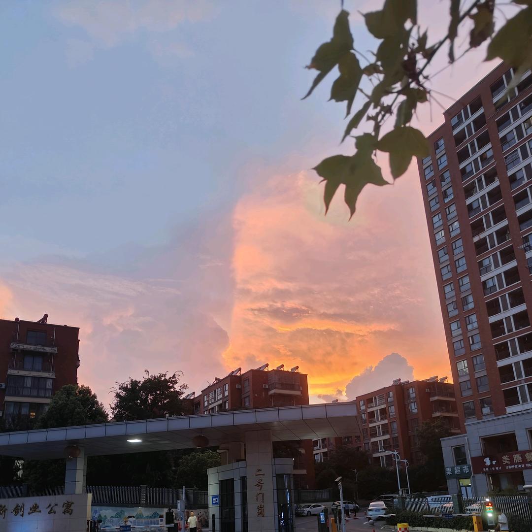墨桦橙
