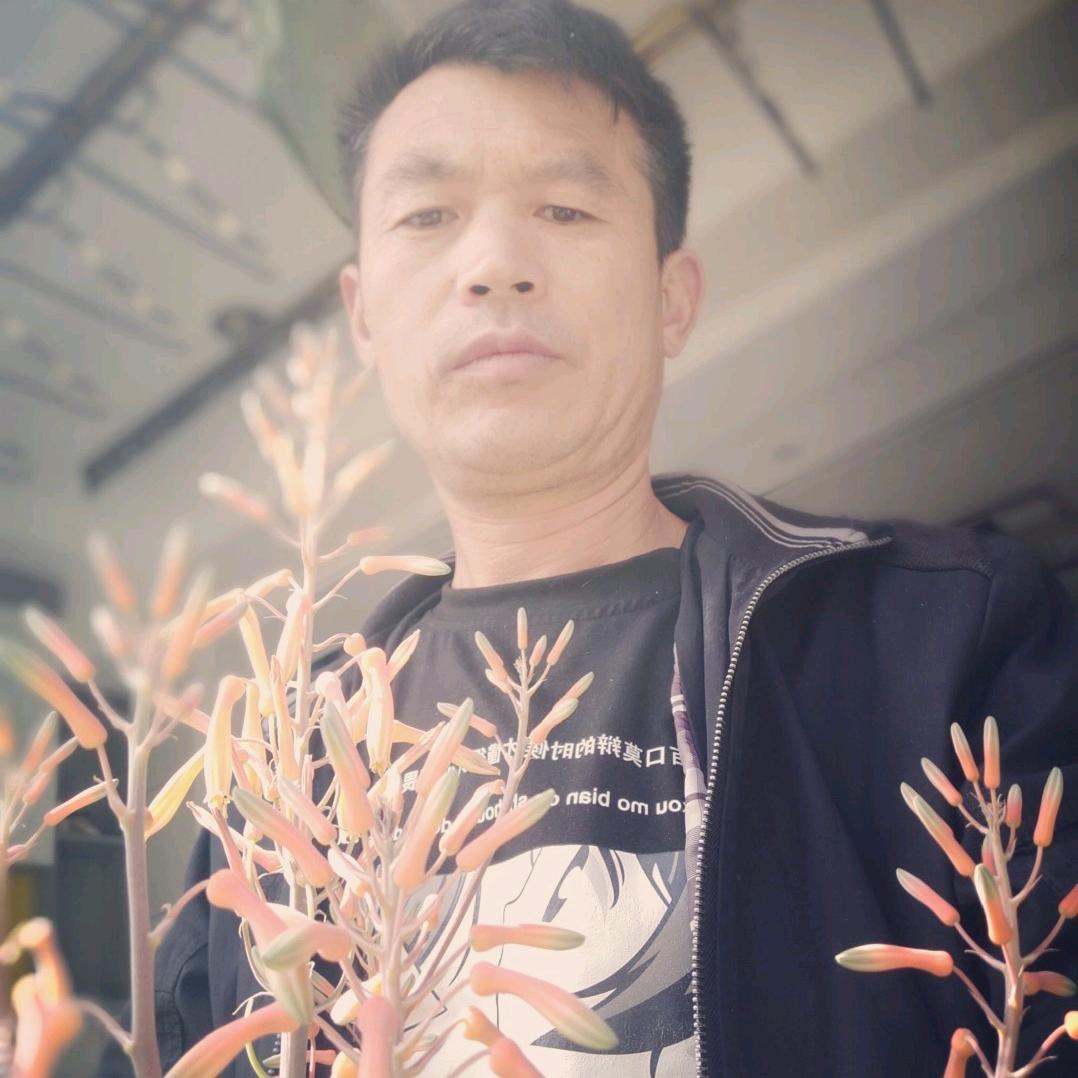 生活只是游戏，平安健康幸福最终目的