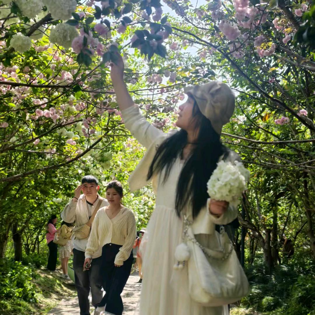 王家姑娘《傻丫头珍珍》