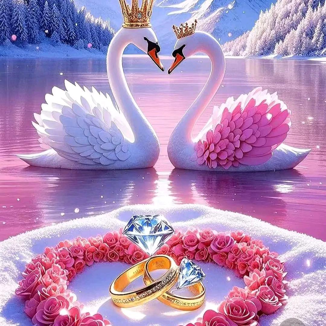 🌹毒刺玫瑰🌹