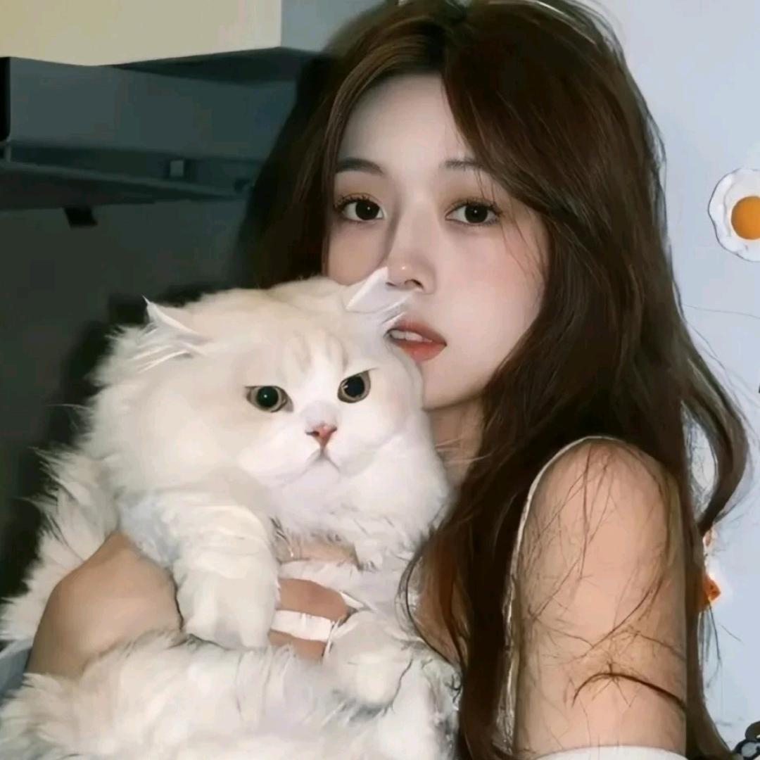 711