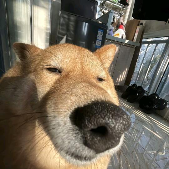 甲塞