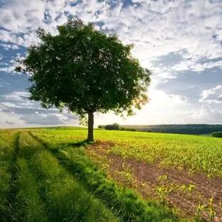 小憡宝呀（王者全能秀）