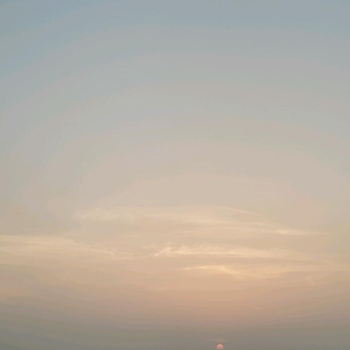 小树叶