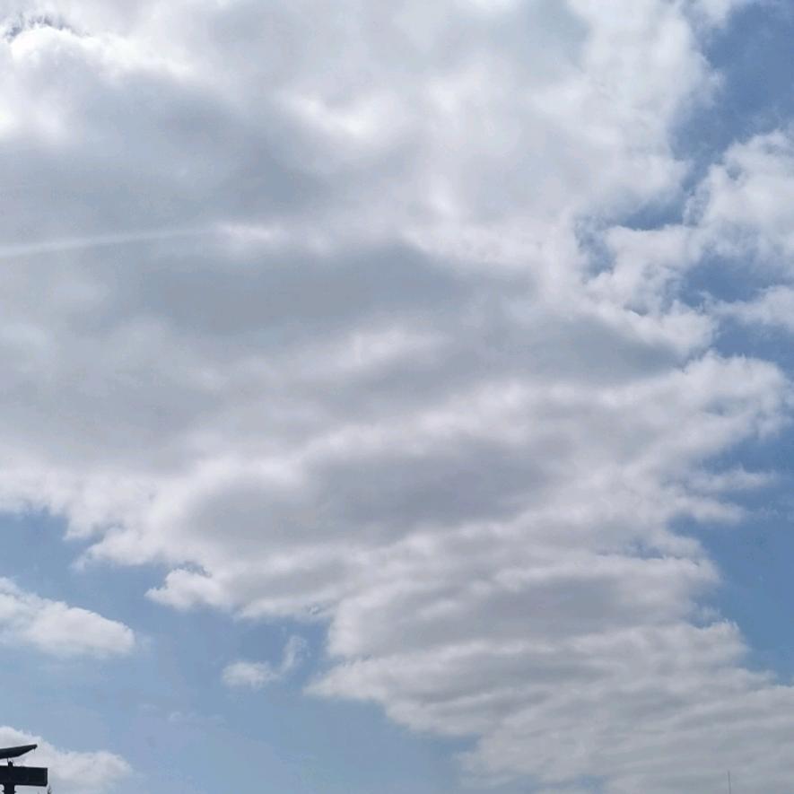 (๑•̌.•̑๑)ˀ̣ˀ̣