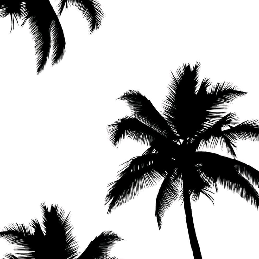 番茄炒西红柿！