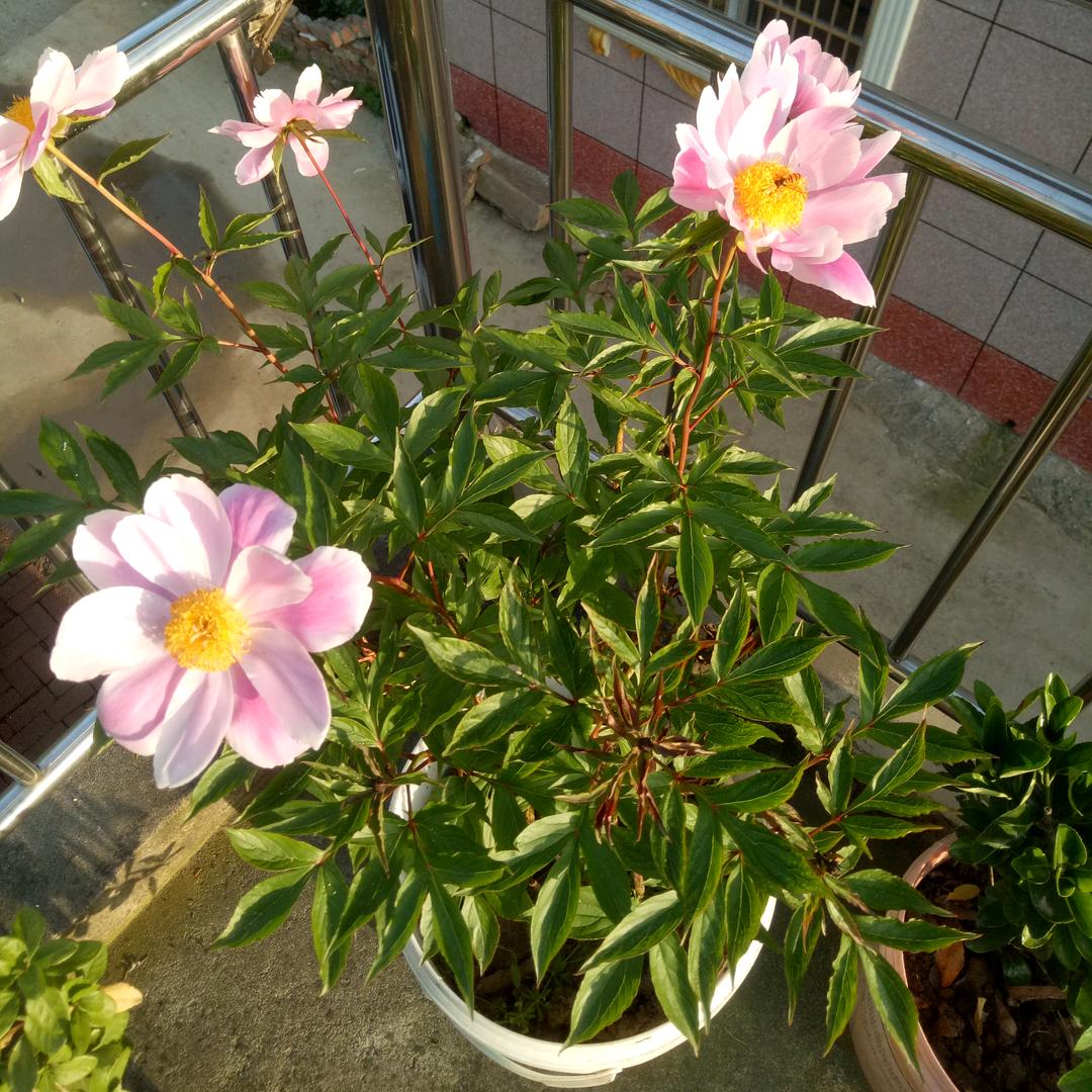 夜如此清静。