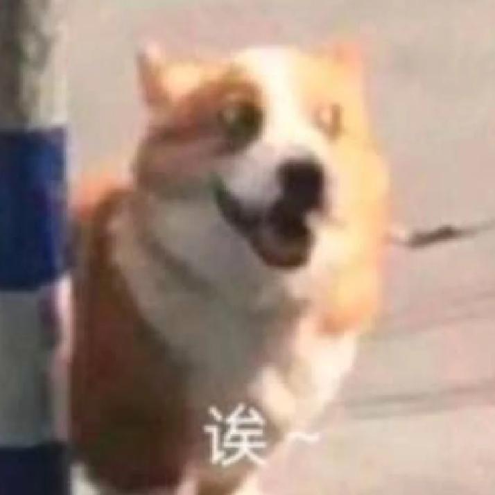 包包包包👜