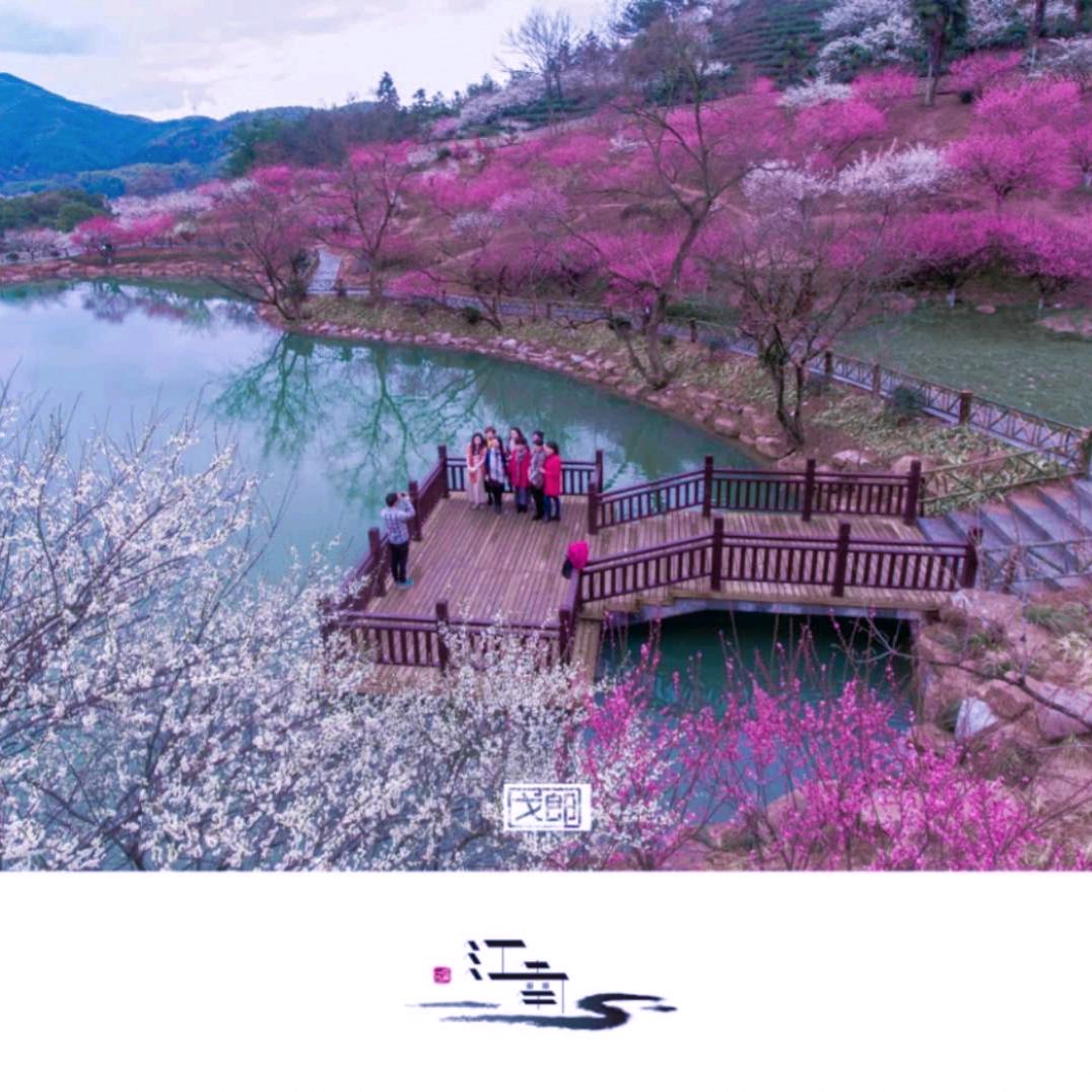 微笑的梅子庄园