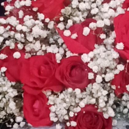 是我，你的影子