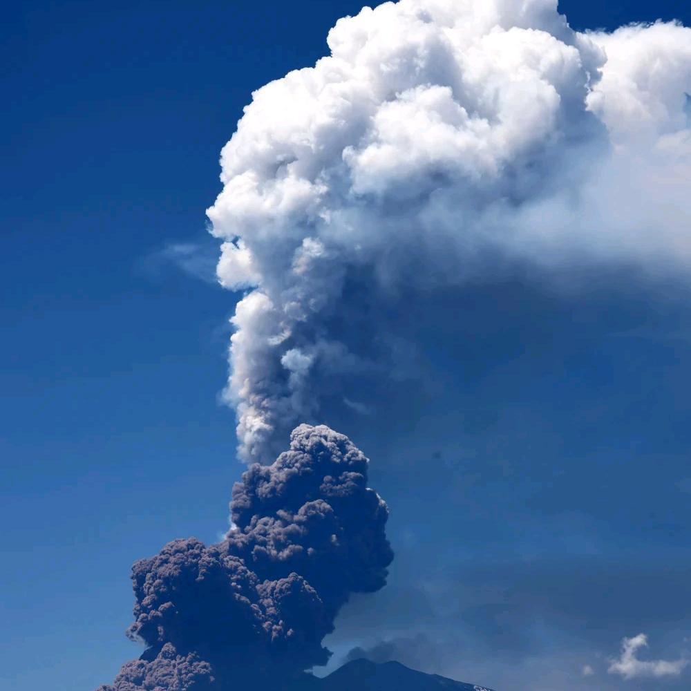 老实人抗不下所有