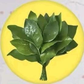 【静心】