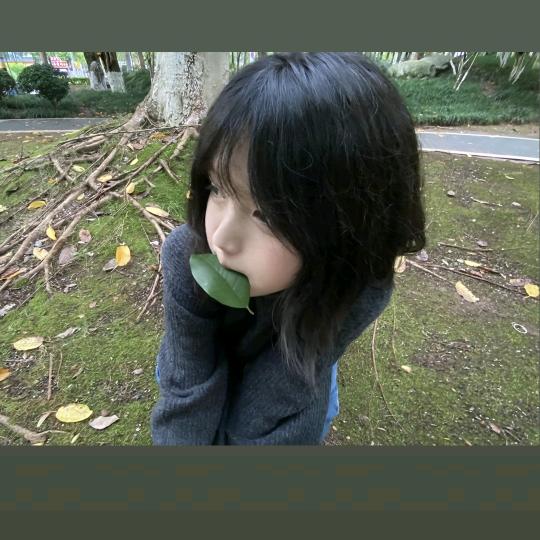 西域果园&无花果