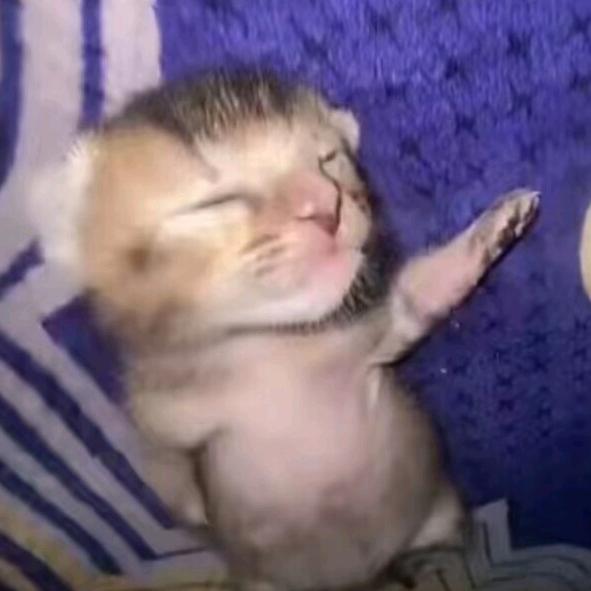 实名上网大帅哥