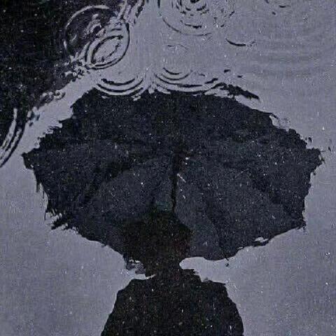 人生海海💭