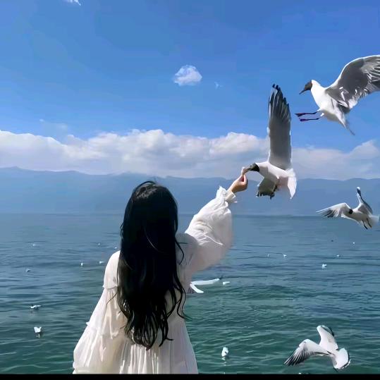 橙橙💫
