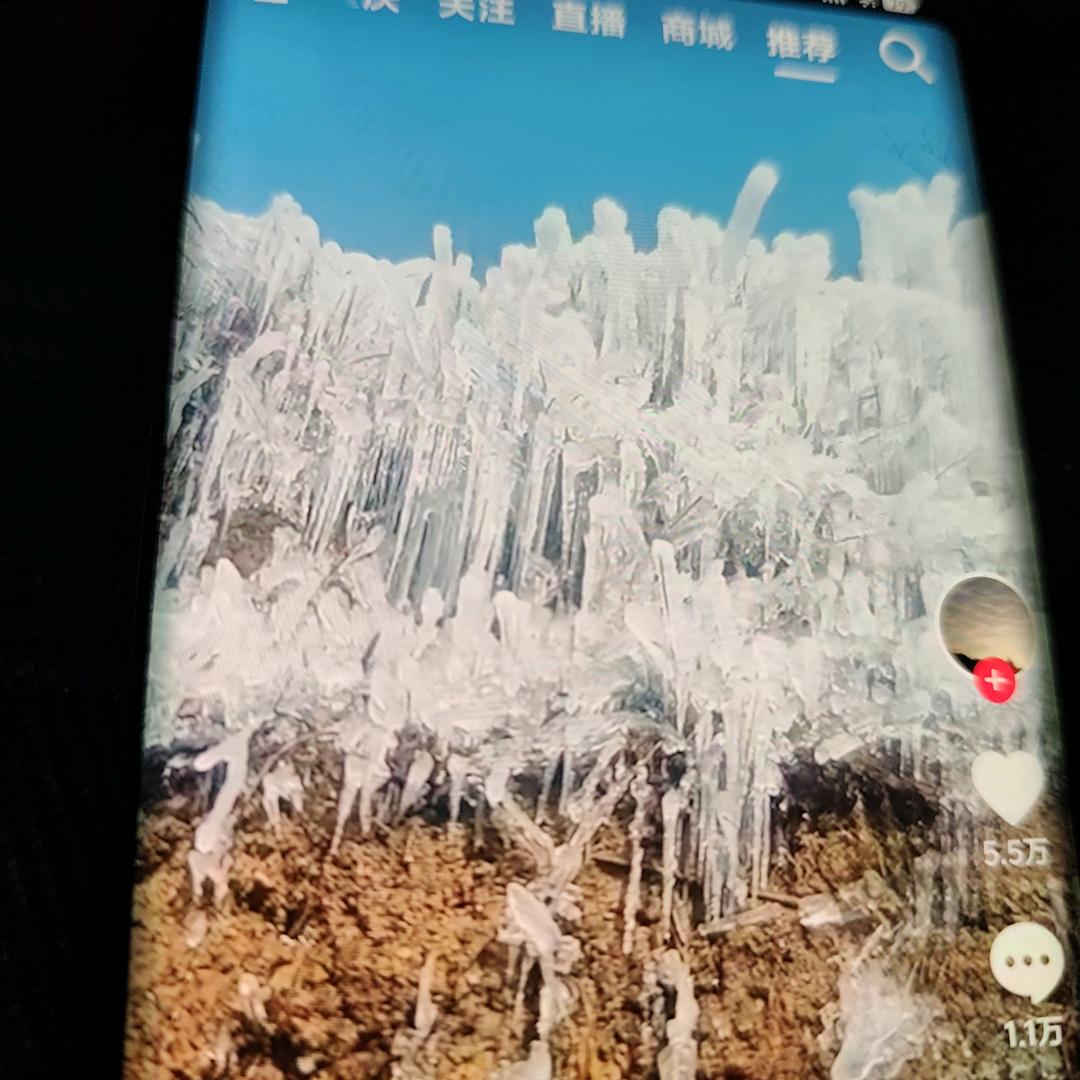 秀………姐