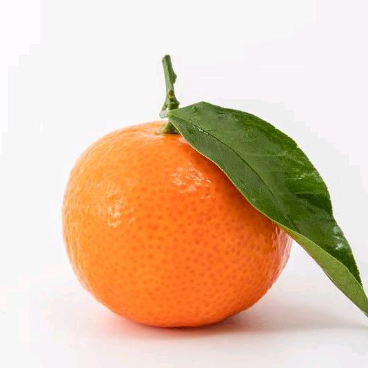 虎爷