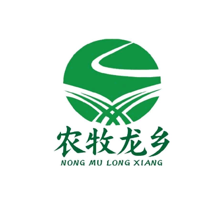 济南龙乡食品张伟