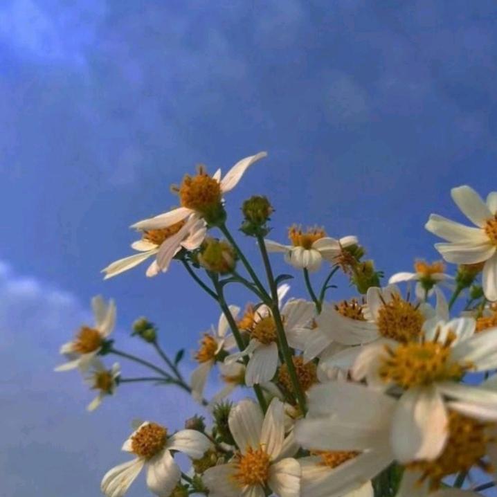 舒怡～